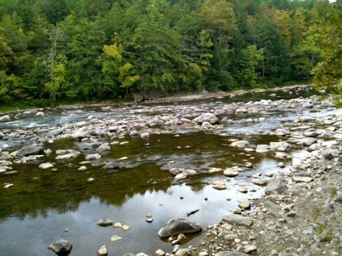 A serene river scene with smooth stones, surrounded by lush green trees and a calm water surface reflecting the landscape.