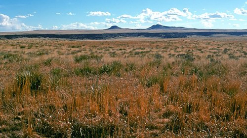 A vast grassland landscape with rolling hills under a blue sky and scattered clouds.