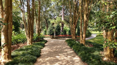 A serene garden path lined with tall trees, leading to vibrant flower beds and lush greenery on either side.