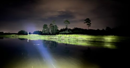 A dark, serene landscape with a river reflecting trees and a beam of light illuminating the water at night.