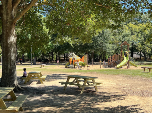 A sunny park scene featuring picnic tables, a playground with slides, and a child sitting under a tree.