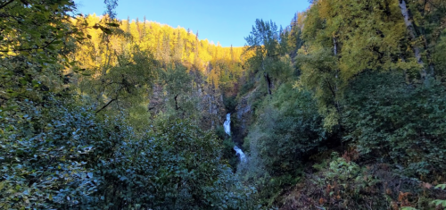 A serene landscape featuring a waterfall surrounded by lush green trees and vibrant autumn foliage under a clear blue sky.