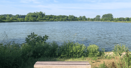 A serene view of a calm lake surrounded by greenery and trees under a clear blue sky. A wooden bench is in the foreground.