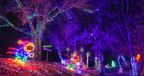 Colorful holiday lights illuminate trees and decorations along a path at night, creating a festive atmosphere.