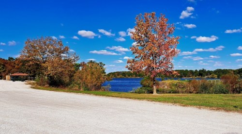 A serene lakeside scene with colorful autumn trees under a bright blue sky and fluffy white clouds.