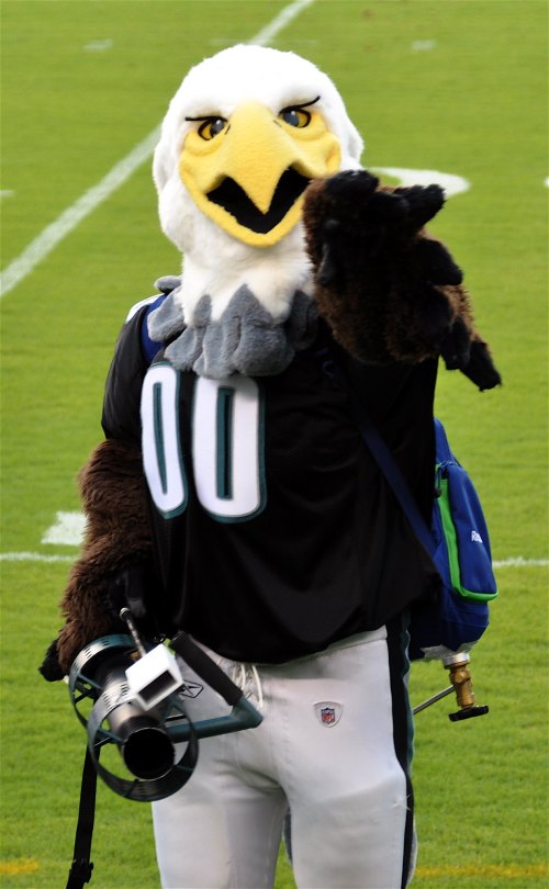 A mascot dressed as an eagle in a sports jersey, holding a camera and pointing at the viewer on a football field.