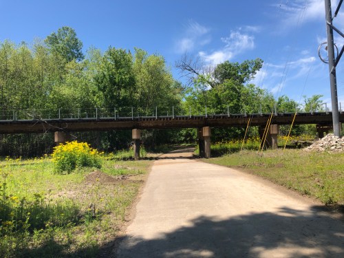 A dirt path leads under a bridge surrounded by greenery and wildflowers on a sunny day.