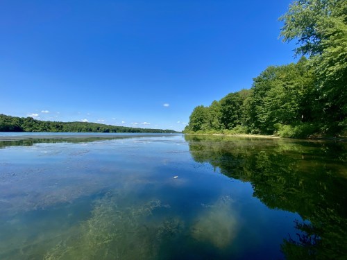 A serene river scene with clear blue skies, lush green trees lining the shore, and calm water reflecting the landscape.