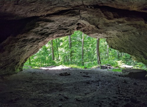 View from inside a cave, looking out at a lush green forest with trees and natural light.