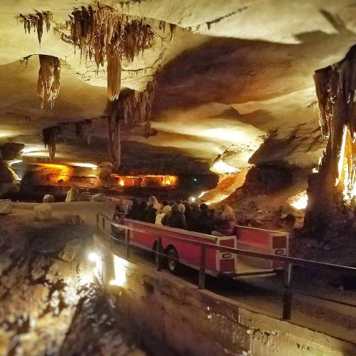 A tour group rides a tram through a dimly lit cave with stalactites and illuminated rock formations.