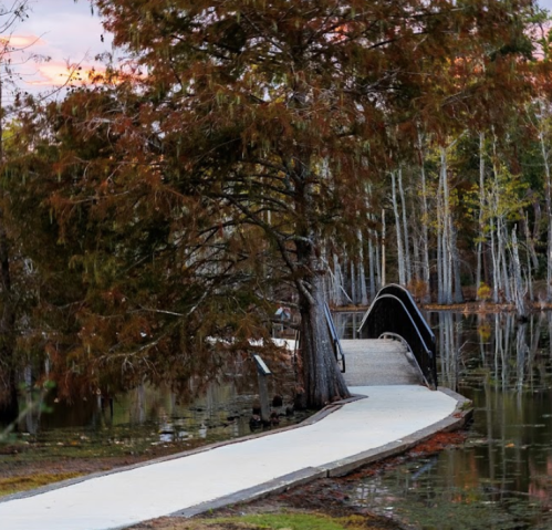 A winding pathway leads to a small bridge over calm water, surrounded by trees and a colorful sunset sky.