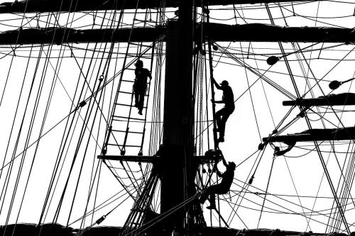 Silhouettes of sailors climbing a tall ship's mast, surrounded by rigging and sails against a bright background.