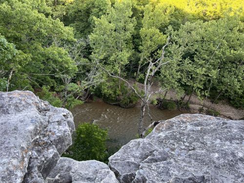 A rocky cliff overlooks a winding river surrounded by lush green trees in a serene natural setting.