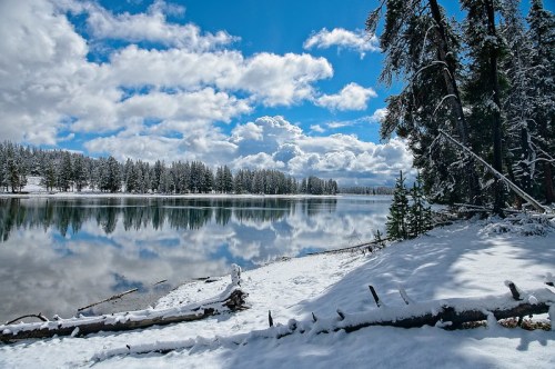 A serene winter landscape featuring a snowy shore, calm lake, and trees reflecting in the water under a blue sky.