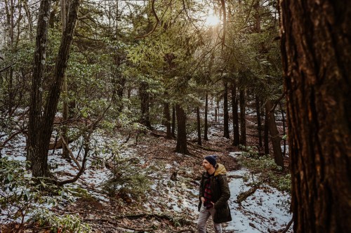 A person walks through a snowy forest, surrounded by tall trees and soft sunlight filtering through the branches.