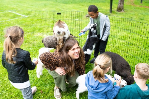 A woman laughs while children interact with various small animals in a grassy area, surrounded by a fence.