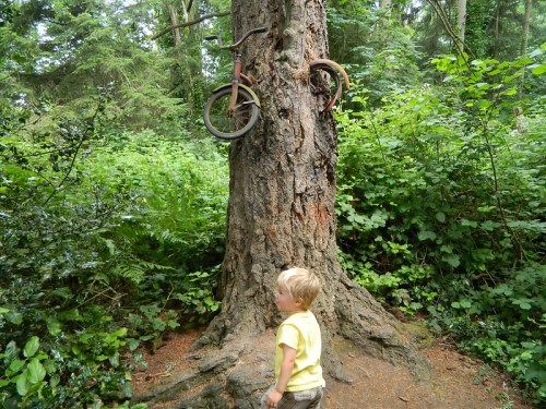 A young child stands in front of a tree with a bicycle mounted on its trunk, surrounded by lush greenery.