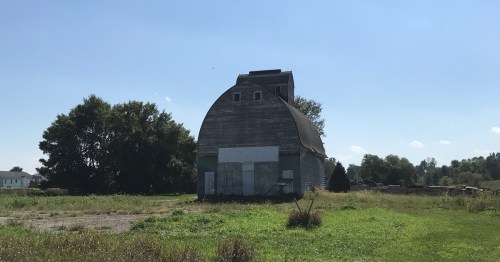 A weathered barn with a curved roof stands in a grassy field under a clear blue sky.