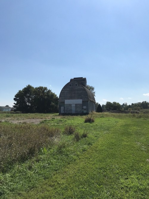 A weathered barn stands in a grassy field under a clear blue sky, surrounded by trees and open land.