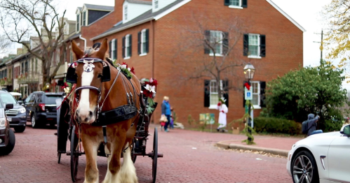 A horse-drawn carriage decorated with flowers on a brick street, with a historic building in the background.