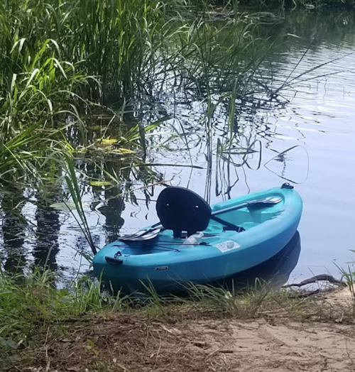 A blue kayak rests by the water's edge, surrounded by tall green grass and calm water.