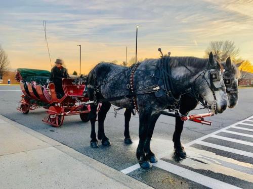 A horse-drawn sleigh with a driver stands in a parking lot at sunset, surrounded by trees and a colorful sky.