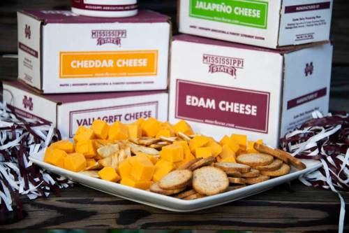 A platter of cheese cubes and crackers in front of colorful cheese boxes from Mississippi State.