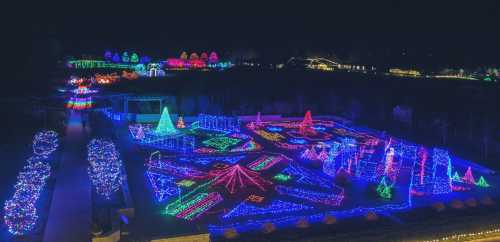 A vibrant display of colorful holiday lights illuminating a park at night, featuring various shapes and patterns.