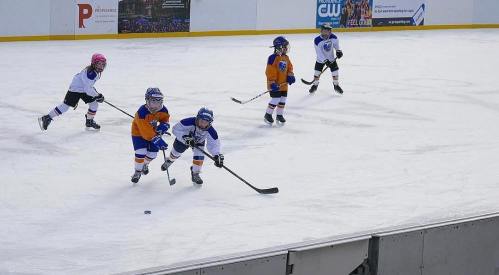 Young children playing ice hockey on a rink, wearing colorful jerseys and helmets, focused on the puck.