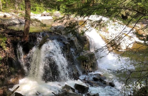A serene waterfall cascades over rocks, surrounded by lush green trees and a peaceful forest setting.