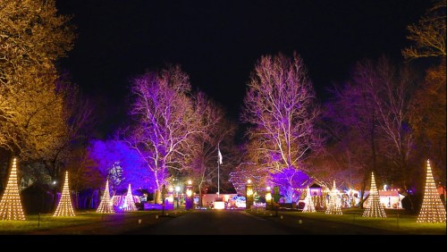 A festive park illuminated with colorful lights and decorated trees, creating a magical nighttime atmosphere.