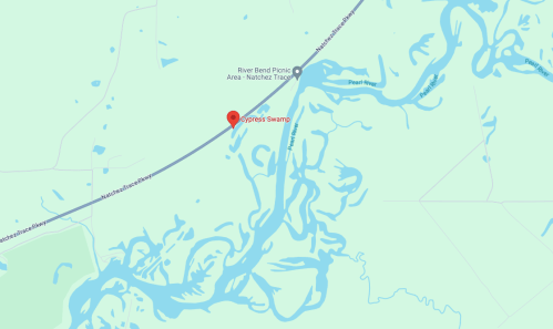 Map showing Cypress Swamp location near River Bend Picnic Area, with winding waterways and surrounding land features.