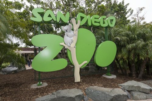 Sign for San Diego Zoo featuring a koala on a tree, surrounded by lush greenery.