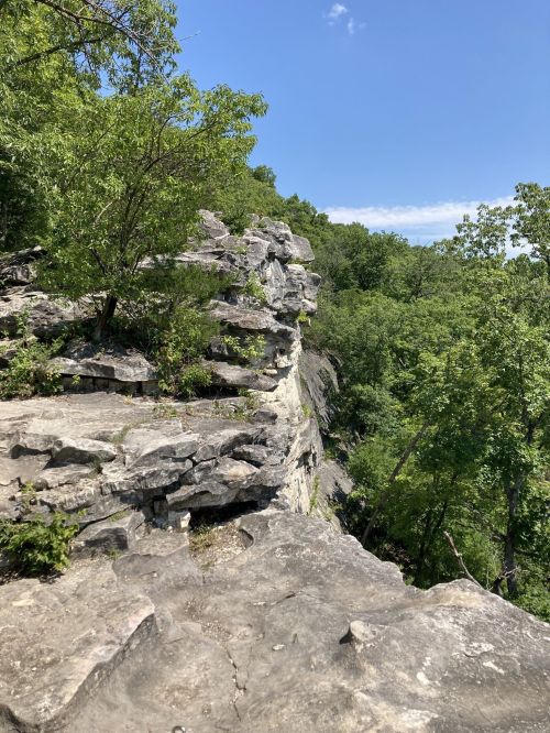 Rocky cliffside with lush green trees and a clear blue sky in the background.