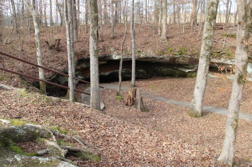 A wooded area with bare trees and fallen leaves, featuring a cave entrance and a stone pathway.