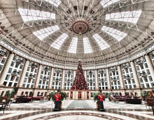 A grand indoor space with a tall Christmas tree, surrounded by elegant architecture and large windows.