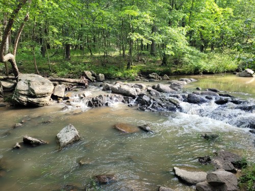 A serene stream flows over rocks, surrounded by lush green trees in a peaceful forest setting.