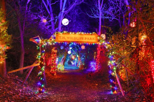 A brightly lit pathway in T.H. Wildlife Park, adorned with colorful lights and decorations, surrounded by trees.