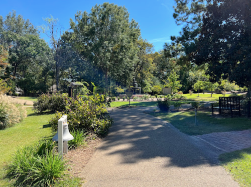 A sunny park pathway surrounded by greenery, leading to a serene garden area with benches and trees.