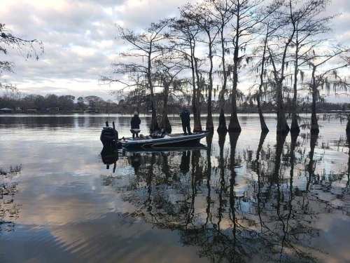 A boat with two people is anchored among cypress trees in calm water, reflecting the cloudy sky.