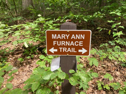 A brown trail sign reading "MARY ANN FURNACE TRAIL" with arrows pointing left and right, surrounded by greenery.