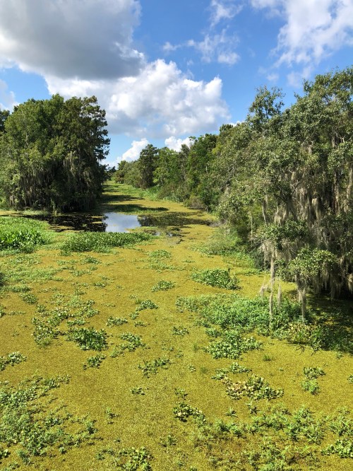 Lush green landscape with a calm waterway, surrounded by trees and blue sky with fluffy clouds.