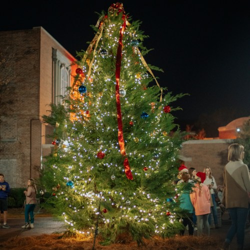 A decorated Christmas tree with lights and ornaments, surrounded by people in festive attire at night.
