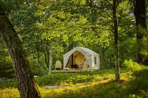 A cozy tent nestled among trees, featuring two wooden chairs on a grassy area, surrounded by lush greenery.