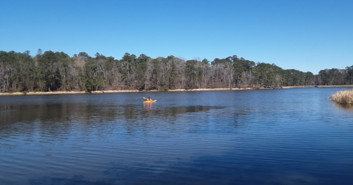 A person kayaking on a calm lake surrounded by trees under a clear blue sky.