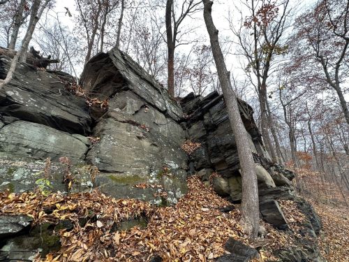 A rocky cliffside with large boulders, surrounded by trees and scattered autumn leaves on the ground.