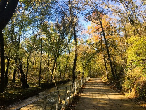 A scenic pathway lined with trees in autumn colors, beside a gently flowing stream under a clear blue sky.