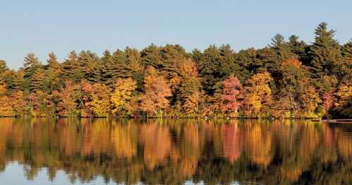 A serene lake reflecting vibrant autumn trees in shades of orange, yellow, and red under a clear blue sky.