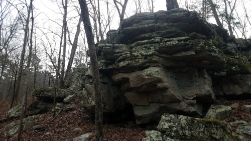 A large, moss-covered rock formation surrounded by bare trees and fallen leaves in a wooded area.