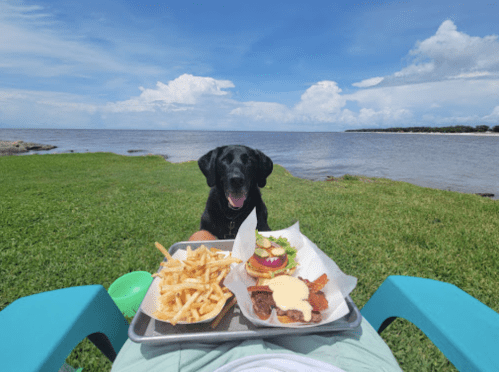 A black dog sits by a person enjoying a meal of fries and a burger by the water on a sunny day.